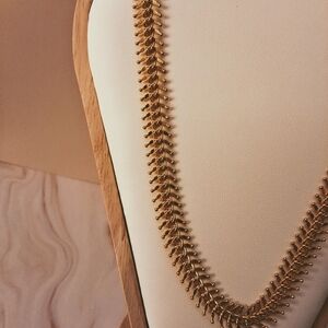 💥 24K Gold Plated Fish Bone Necklace